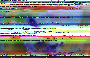 mhs_rgb_421.png